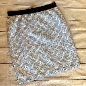 Ann Taylor Eyelet Lace Blue Print Skirt 10 Petite